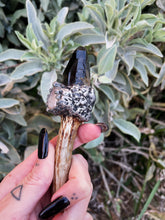 Load image into Gallery viewer, Whimsy Wand