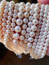 Load image into Gallery viewer, Pisces Szn Pearl Party! 🐚