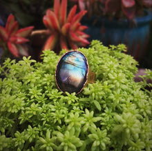 Load image into Gallery viewer, Labradorite Cocktail Ring