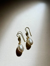 Load image into Gallery viewer, Cherished Earrings

